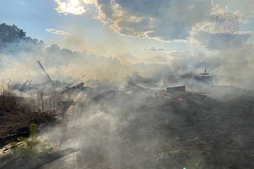 В Приамурье действуют 11 природных пожаров 
