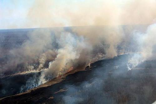 Дым от лесных пожаров в Приамурье может стоять до конца недели