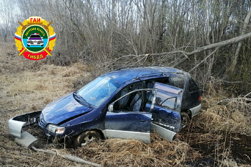 Женщина погибла в ДТП на трассе «Гомелевка — Новобурейский — Куликовка»