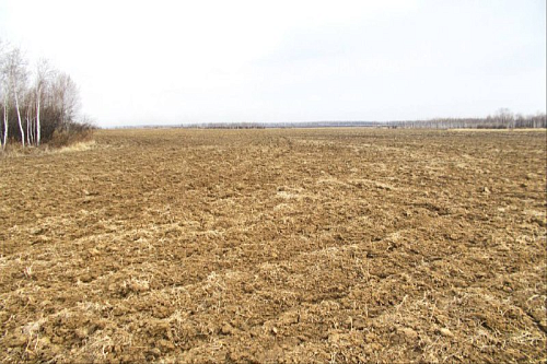 В Амурской области ввели в оборот 220 гектаров сельхозземель