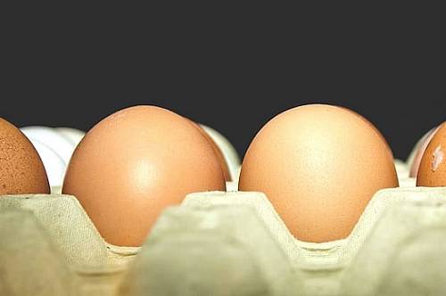 «Амурптицепром» снизил отпускные цены на яйца