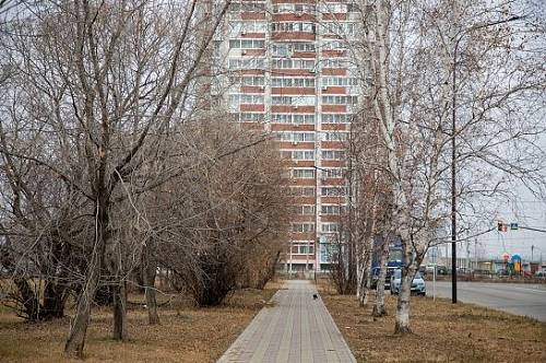 Синоптики рассказали, каким будет ноябрь в Амурской области