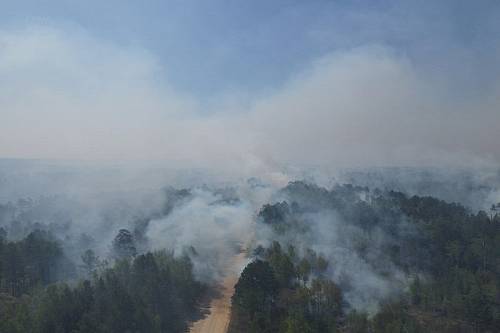 В Амурской области природный пожар тушат 150 человек