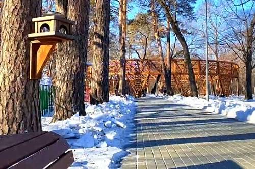 Первомайский парк Благовещенска пообещали избавить от неприятного запаха