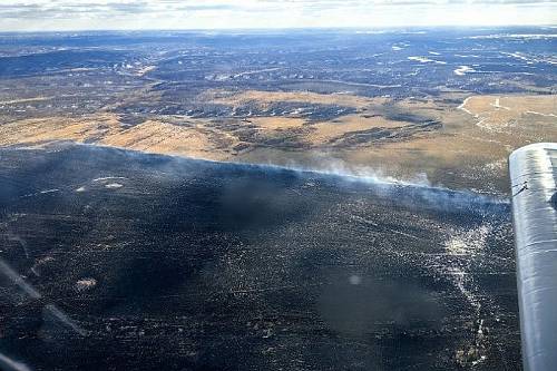 Четыре природных пожара действуют в Приамурье 