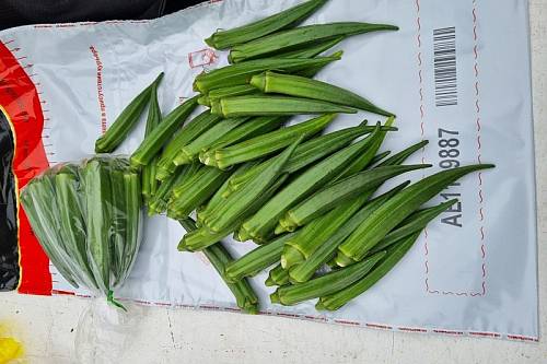 В Приамурье из Китая привезли экзотическую бамию и другие овощи