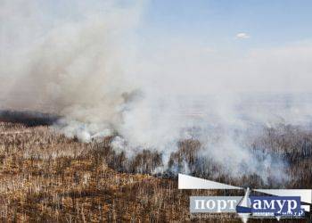 В Приамурье за восемь месяцев «Лесохранитель» зафиксировал почти 1000 возгораний