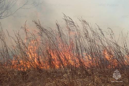 За сутки в Приамурье зарегистрировали 16 очагов горения сухой растительности
