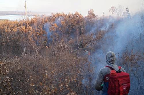 Шесть природных пожаров ликвидировали в Амурской области за сутки