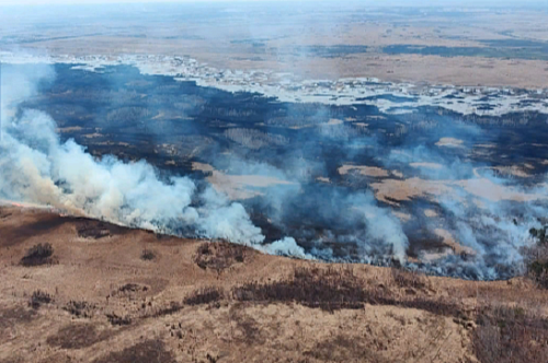 На юге Амурской области усилены лесопожарные группировки