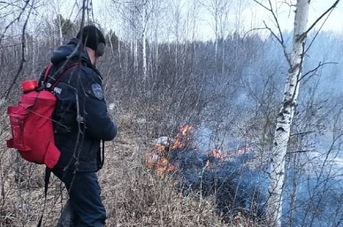 За сутки в Амурской области зафиксировали девять лесных пожаров
