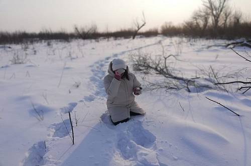 В Амурской области снова ждут снег и ветер