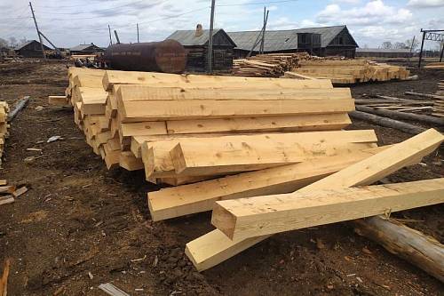 В Приамурье массово проверили сделки по продаже древесины