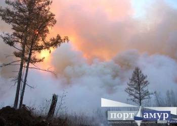Природные пожары в Приамурье охватили больше тысячи гектаров