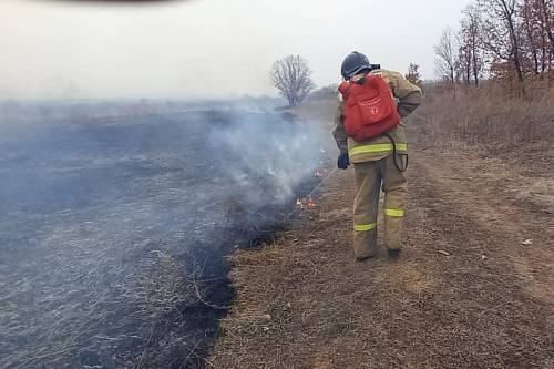 Особый противопожарный режим ввели еще в двух северных территориях Приамурья