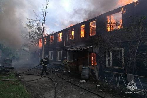 В этом году в Приамурье пожары унесли жизни семи детей