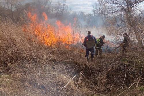 В Приамурье потушили четыре природных пожара