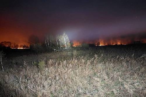 В Амурской области действуют восемь природных пожаров