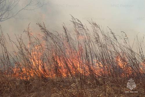 В Приамурье огнеборцы потушили 14 пожаров