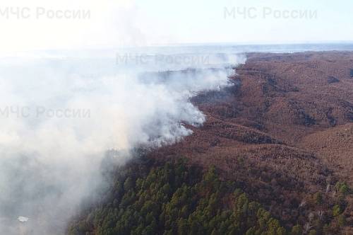 Возгорания на севере Приамурья тушат более 500 пожарных