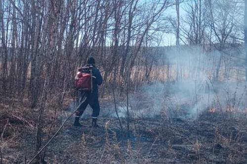 В Приамурье поджигателя сухой травы оштрафовали на 20 тысяч