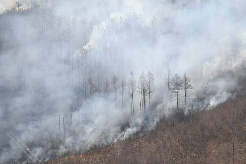 Еще в 14 районах Приамурья ввели особый противопожарный режим 