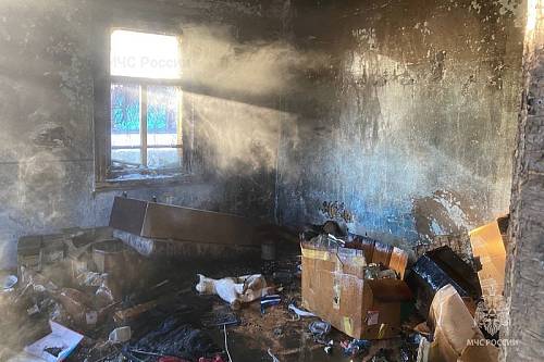В Благовещенске из-за пожара пострадала квартира