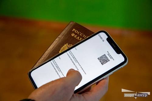 В России до 1 мая установят случаи предъявления цифрового паспорта