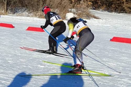 Определились победители чемпионата Амурской области по лыжным гонкам