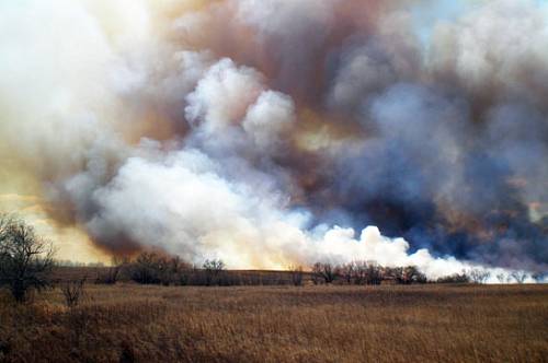 В Приамурье тушат 39 природных пожаров