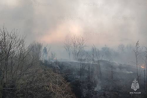 Чрезвычайную пожарную опасность определили в двух территориях Приамурья