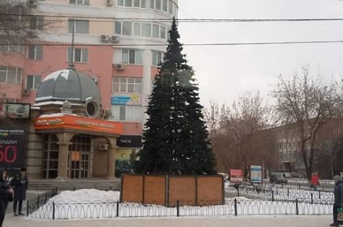 В центре Благовещенска появилась новогодняя елка