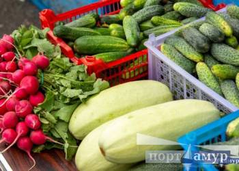 Объемы производства овощей и картофеля в Приамурье планируют увеличить вдвое
