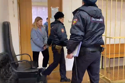 В Санкт-Петербурге арестовали уроженку Благовещенска по делу о попытке поджога избирательного участка