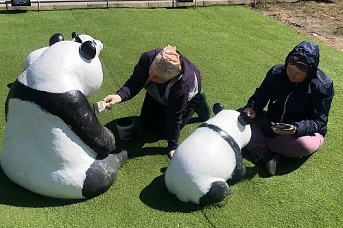 В благовещенском парке Дружбы отреставрировали семью панд