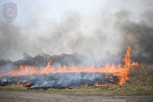 В Приамурье увеличили число групп, выявляющих нарушителей пожарной безопасности