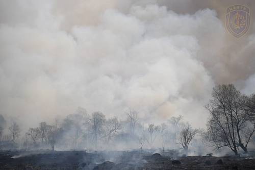 В Амурской области действуют 16 природных пожаров