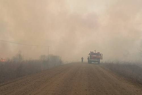Масштабный лесной пожар тушат в Свободненском районе